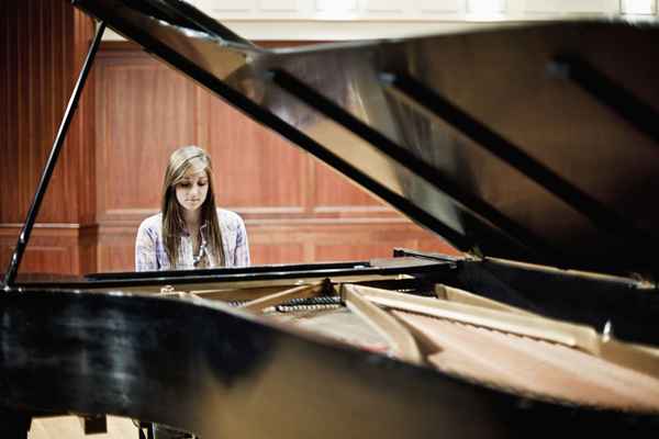 Profesjonaliści i oszustwo pionowo -pianos