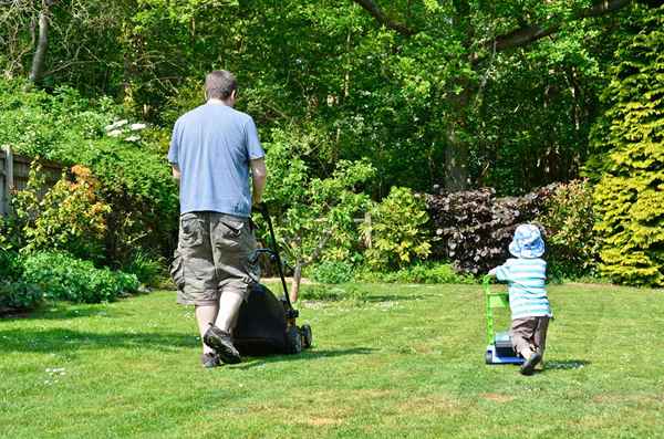 Los pros y los contras del trabajo de jardinería para niños como negocio