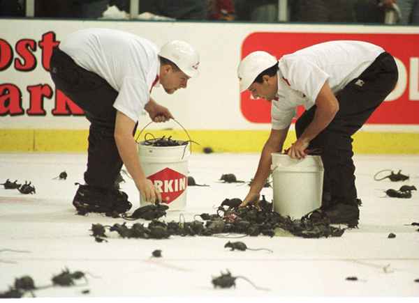 La historia detrás del truco de ratas de los Florida Panthers