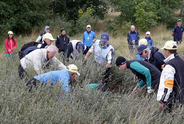 El límite de tiempo para buscar una pelota de golf perdida