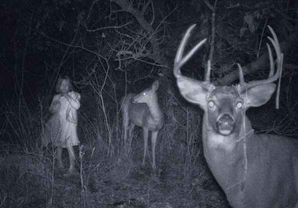 Esta foto pode capturar uma garotinha fantasma