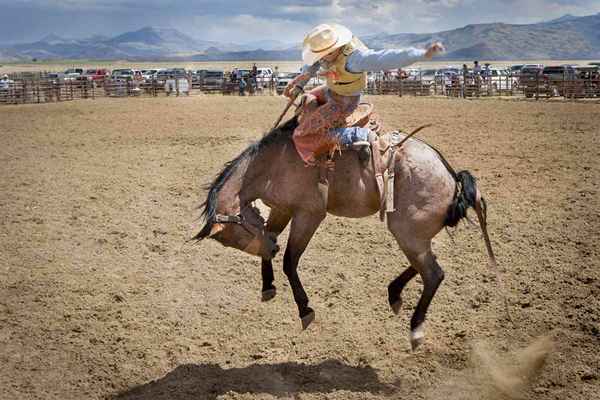 Top -Rodeos, die jeder Lüfter sehen sollte