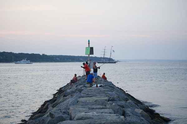 Usando una plataforma de carrito mientras pesca el muelle