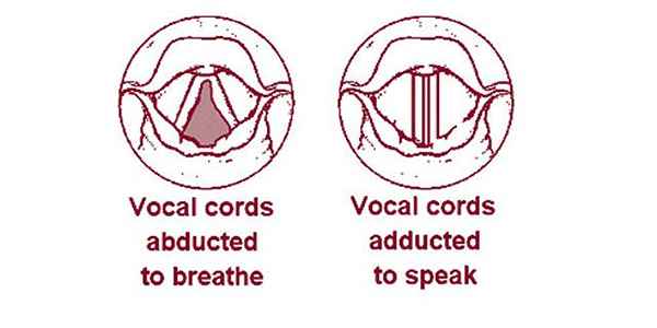 ¿Qué es un inicio vocal??