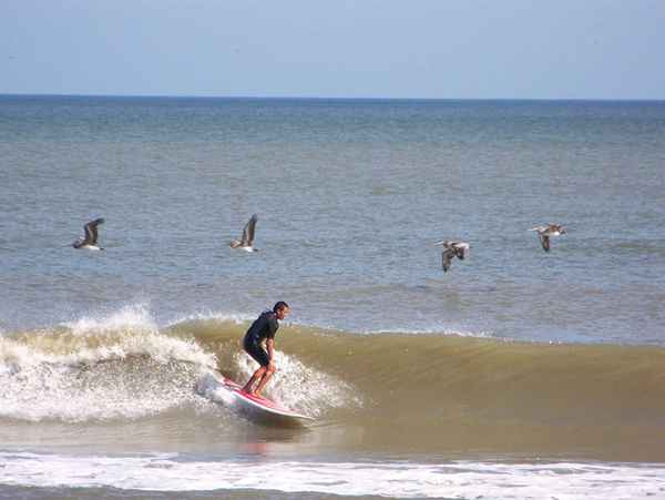 Was Sie über das Surfen von Florida wissen sollten