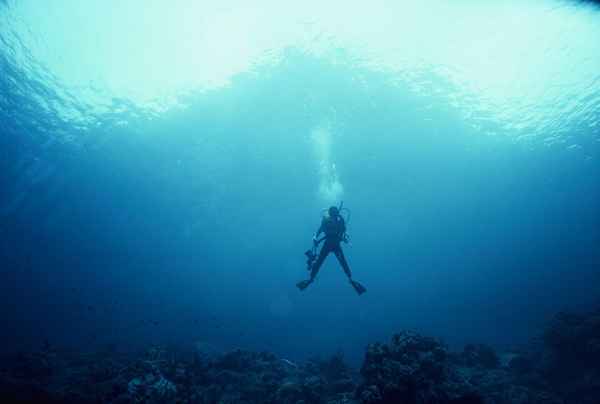 Por qué deberías hacer una parada de seguridad mientras buceo