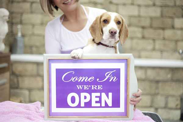 12 migliori opzioni commerciali in franchising per animali domestici