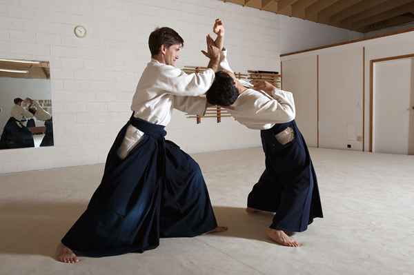 4 estilos de artes marciales japonesas