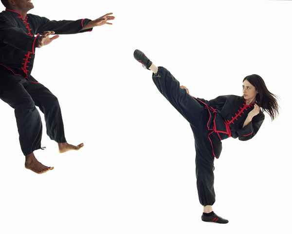 Una guida di storia e stile di Hung Gar Kung Fu