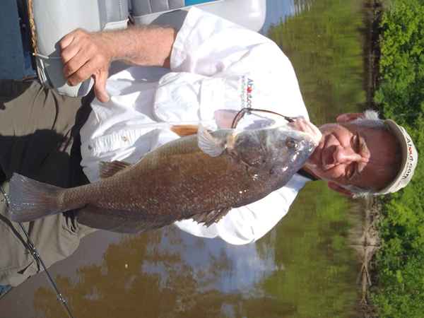 Todo sobre pescado de batería de agua dulce