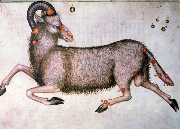 Ariete il Ram - Segni zodiacali