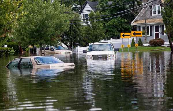 Acquistare e ricostruire un'auto di alluvione