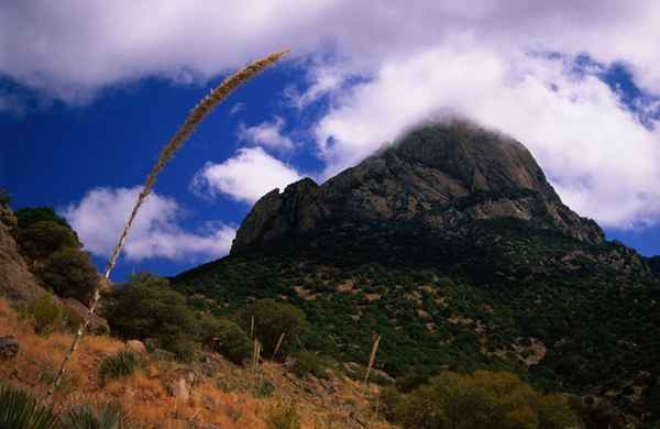 Fatos sobre o pico de Baboquivari