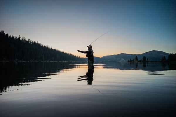 Pesca 101 Introducción a los gusanos de la cabeza de la plantilla