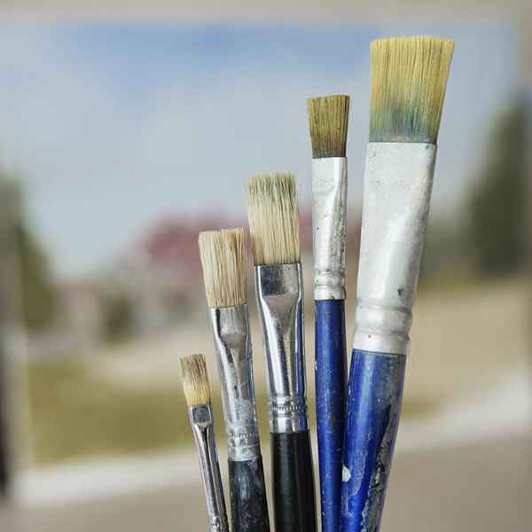 Conosci i tuoi pennelli di pittura peli e setole