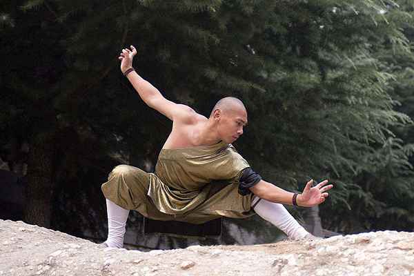 Kung Fu History and Style Guide