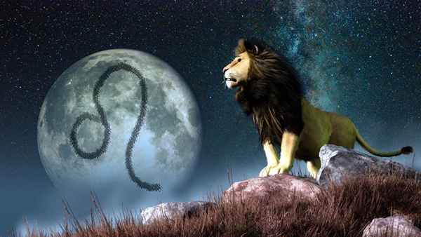 Leo the Lion - Signs del zodiaco