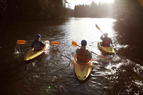 Músculos y partes del cuerpo utilizadas en kayak