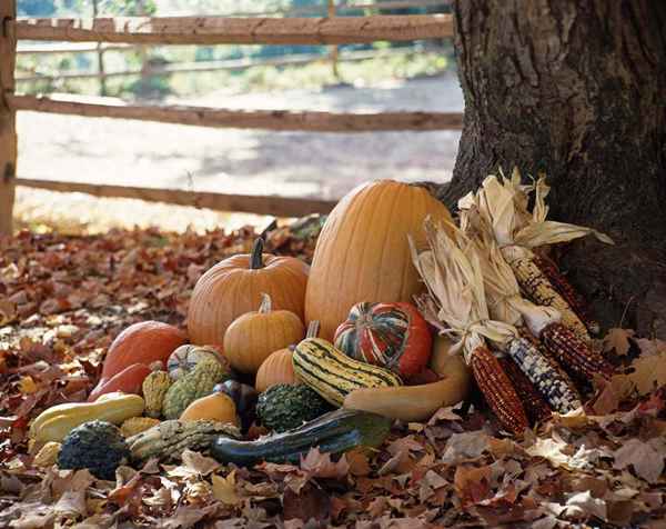 Datos curiosos de noviembre, vacaciones, eventos históricos y más