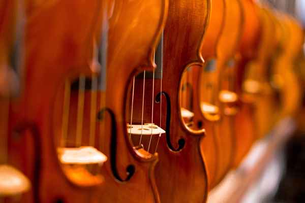 Parties du violon et leur fonction