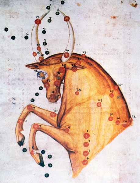 Taurus the Bull - Segni zodiacali