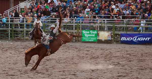 Le basi della cavalcata senza sella rodeo