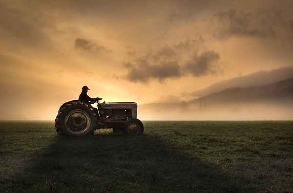 10 najlepszych piosenek country o ciągnikach