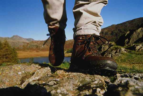 Cosa sapere sulle gambi di scarpe