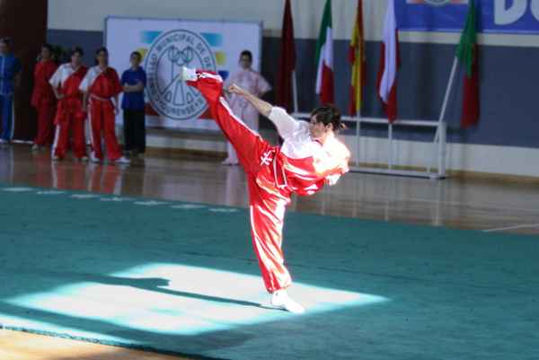 Lo que debes saber sobre el arte marcial de Wushu