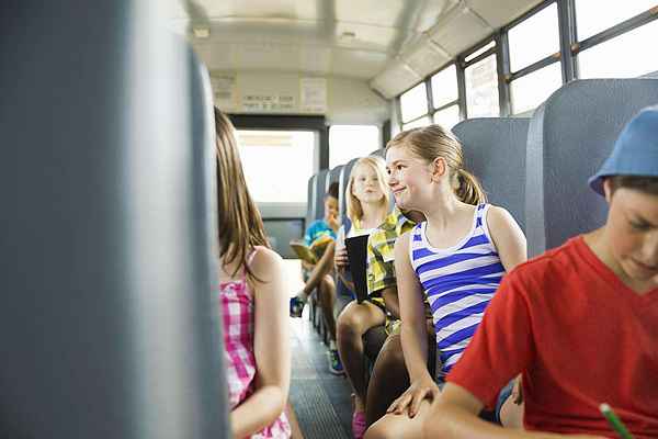 Perché gli autobus non hanno le cinture di sicurezza